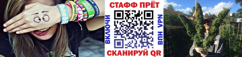 Где купить наркоту Ливны Конопля  Альфа ПВП  КОКАИН  АМФ  Меф мяу мяу  ГАШИШ 