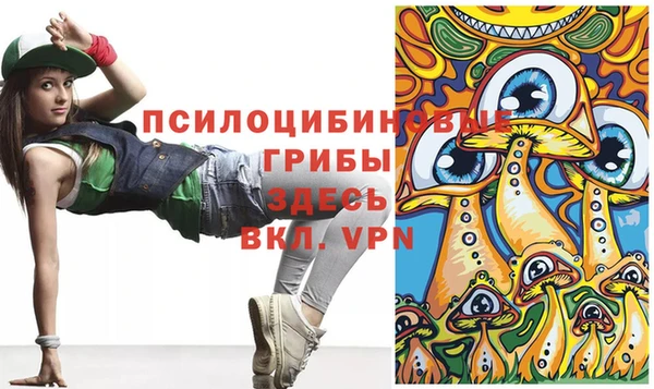 мяу мяу мука Аркадак