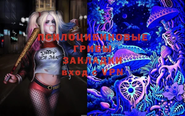 мяу мяу мука Аркадак