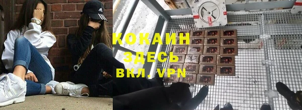 мяу мяу мука Аркадак
