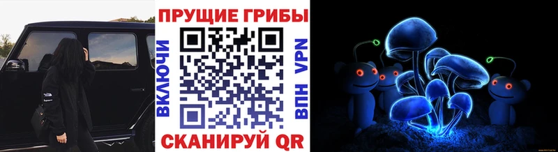 Псилоцибиновые грибы Psilocybe  Ливны 